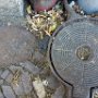 Fundort: Wurzen Schweizergartenstr. 