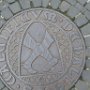 Halle / Saale (S. calcificum de Halle)